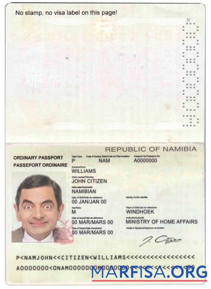 Blank Namibia passport template